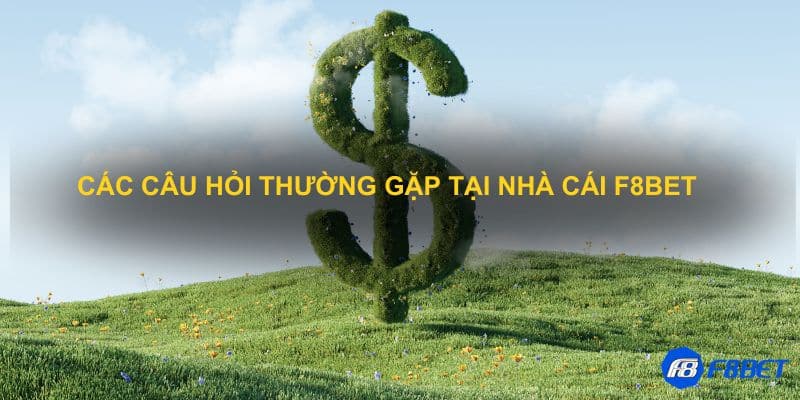 Các câu hỏi thường gặp tại nhà cái F8bet