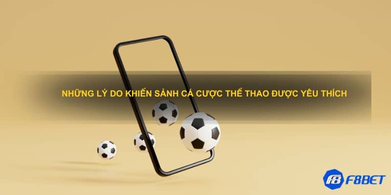 Tham khảo sảnh thể thao ảo hấp dẫn sắc nét hiện nay