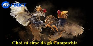 cá cược đá gà Campuchia