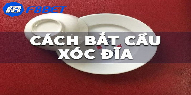 cách bắt cầu xóc đĩa