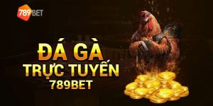 Dịch vụ hấp dẫn tại nhà cái 789BET Com