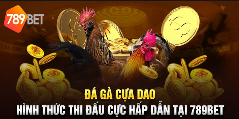 Giới thiệu tổng quan về sân chơi 789BET Com