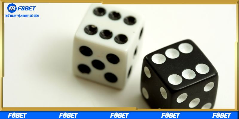 Những điểm nổi bật của nền tảng